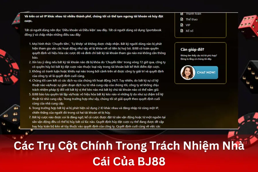 Các Trụ Cột Chính Trong Trách Nhiệm Nhà Cái Của BJ88