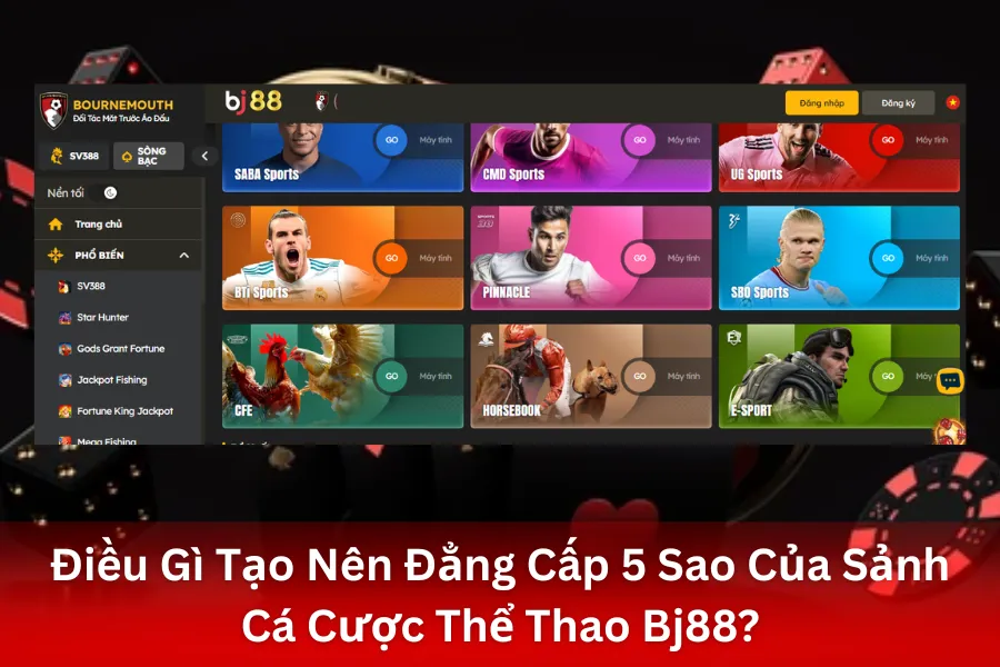 Điều Gì Tạo Nên Đẳng Cấp 5 Sao Của Sảnh Cá Cược Thể Thao Bj88?