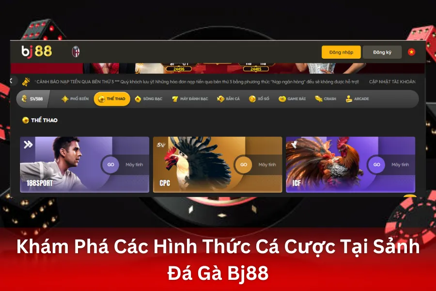 Khám Phá Các Hình Thức Cá Cược Tại Sảnh Đá Gà Bj88