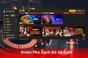 ảnh đại diện Khám Phá Sảnh Đá Gà Bj88