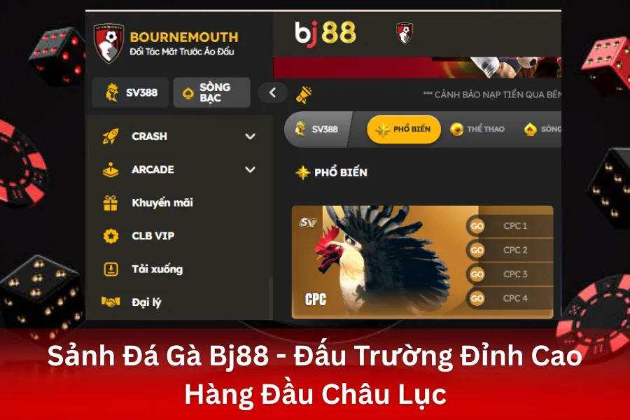 Sảnh Đá Gà Bj88 - Đấu Trường Đỉnh Cao Hàng Đầu Châu Lục